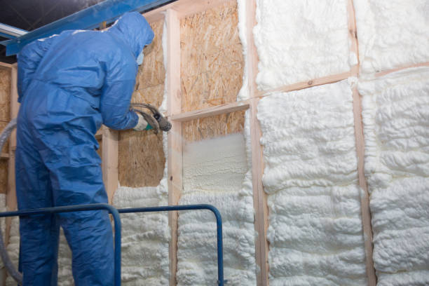 Trusted Big Rapids, MI Insulation Services Experts